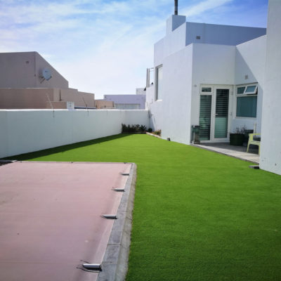 lush-green-grass